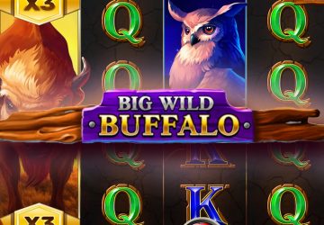 Игра Big Wild Buffalo в Kush казино