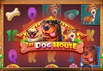 Автомат The Dog House в Kush казино